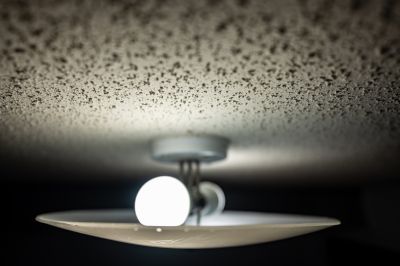 Popcorn Ceiling Repair detail